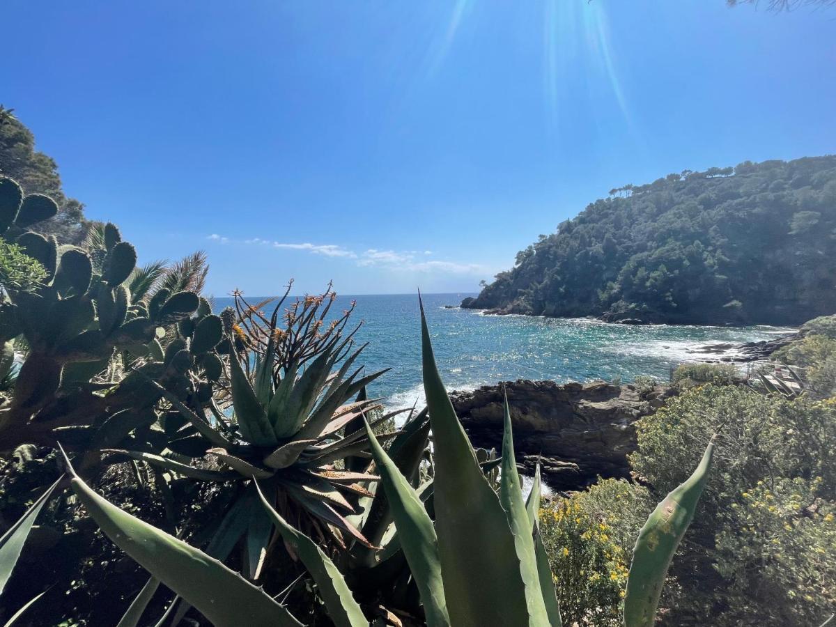 La Villa Cavalaire Kültér fotó