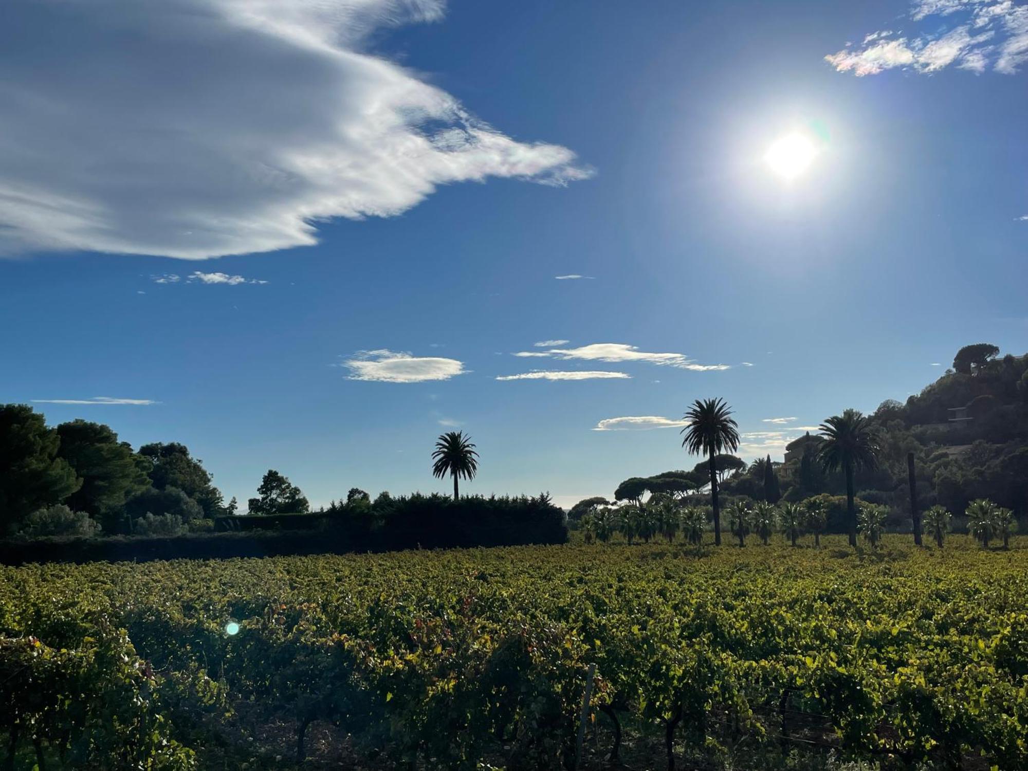 La Villa Cavalaire Kültér fotó